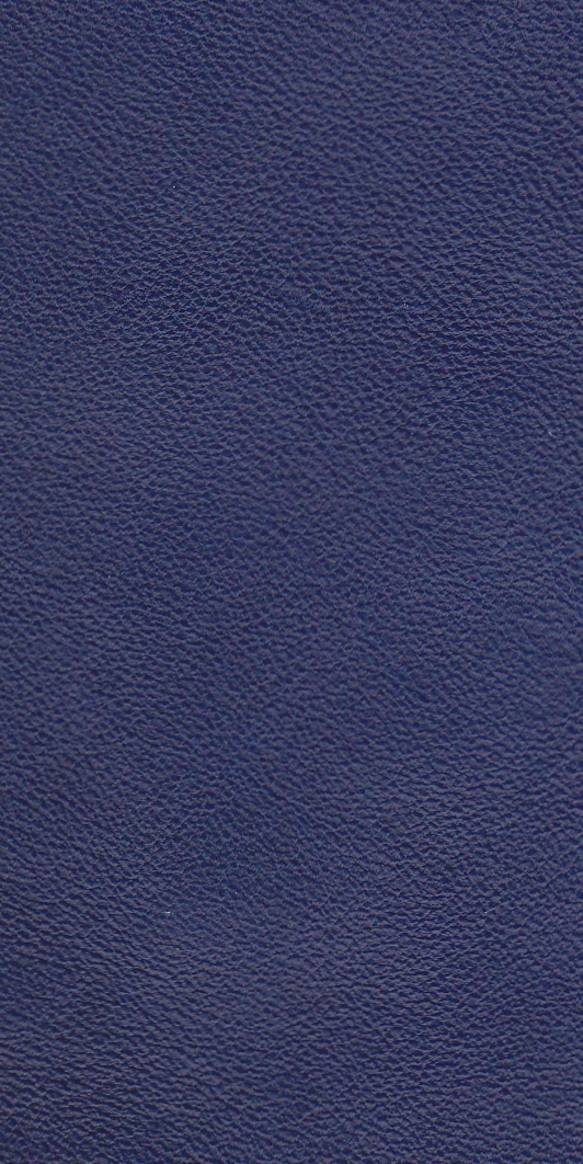 Azure Blue Azure Blue